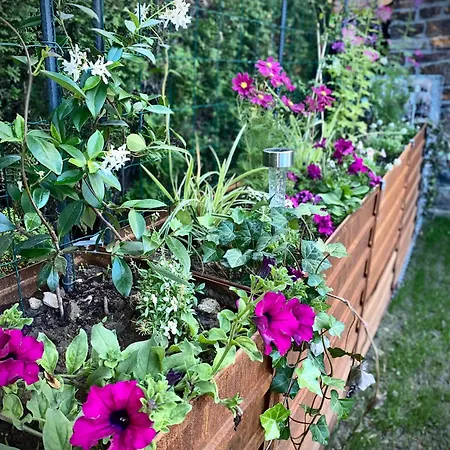 Le Sartisfait * Jalhay